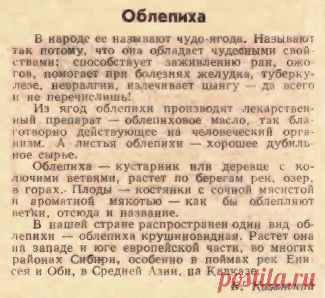 Облепиха