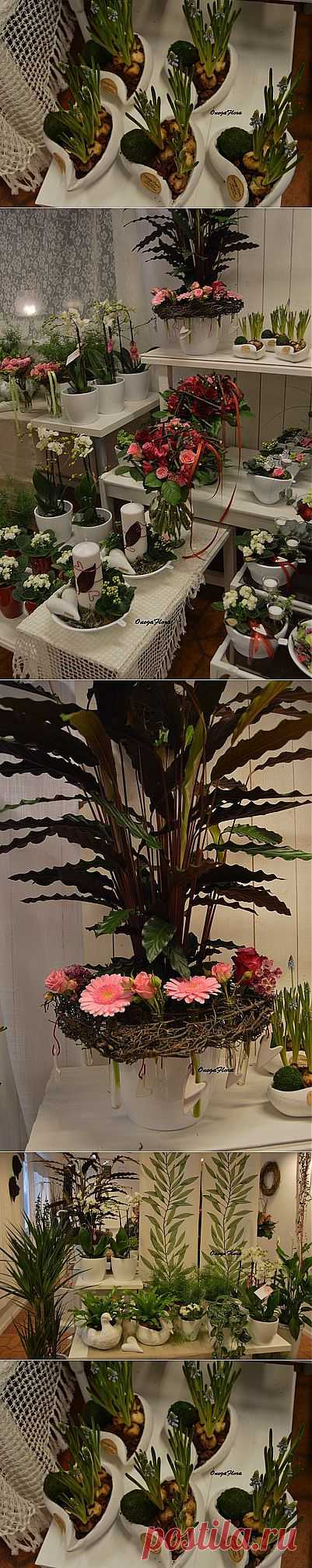 Ирина Черноусова