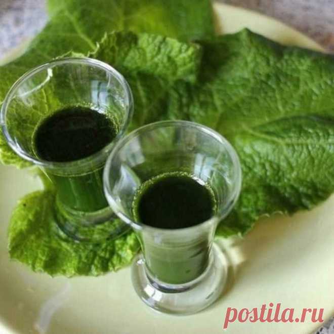 ЛОПУХ