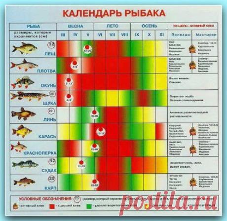 Календарь...
