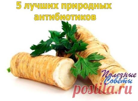 (99) Одноклассники