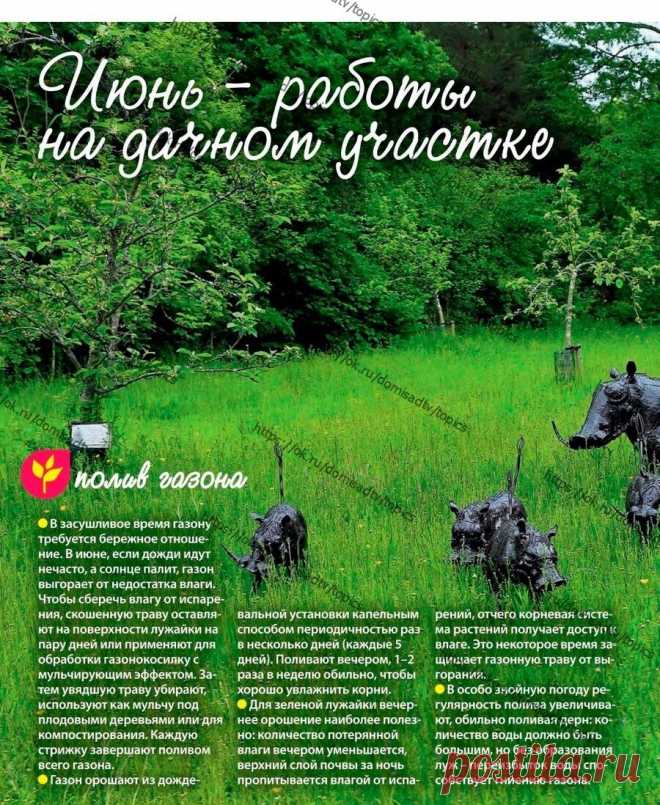 ЛЕТО...ЛЕТО..
  ИЮНЬ В САДУ