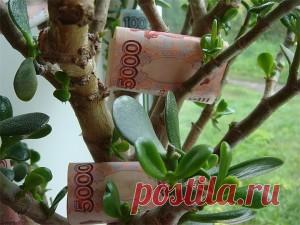 Как открыть Денежный канал