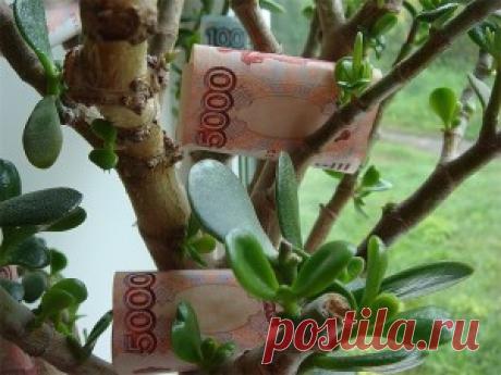 Как открыть Денежный канал