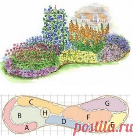 КЛУМБА ИЗ ОДНОЛЕТНИКОВ, НЕ ТРЕБУЮЩАЯ УХОДА.