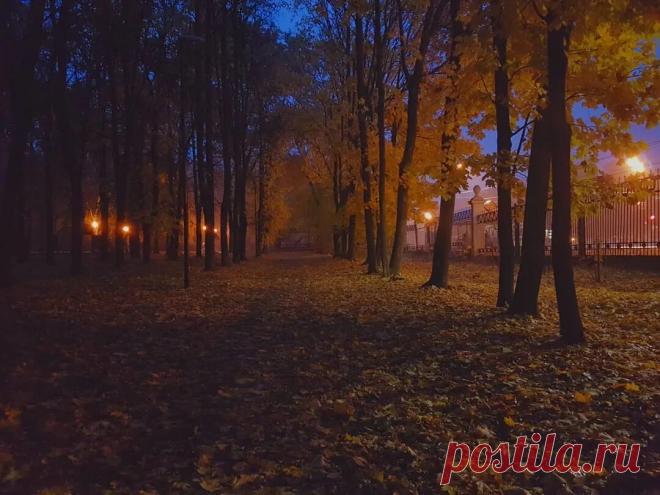 Яндекс Картинки: поиск похожих изображений