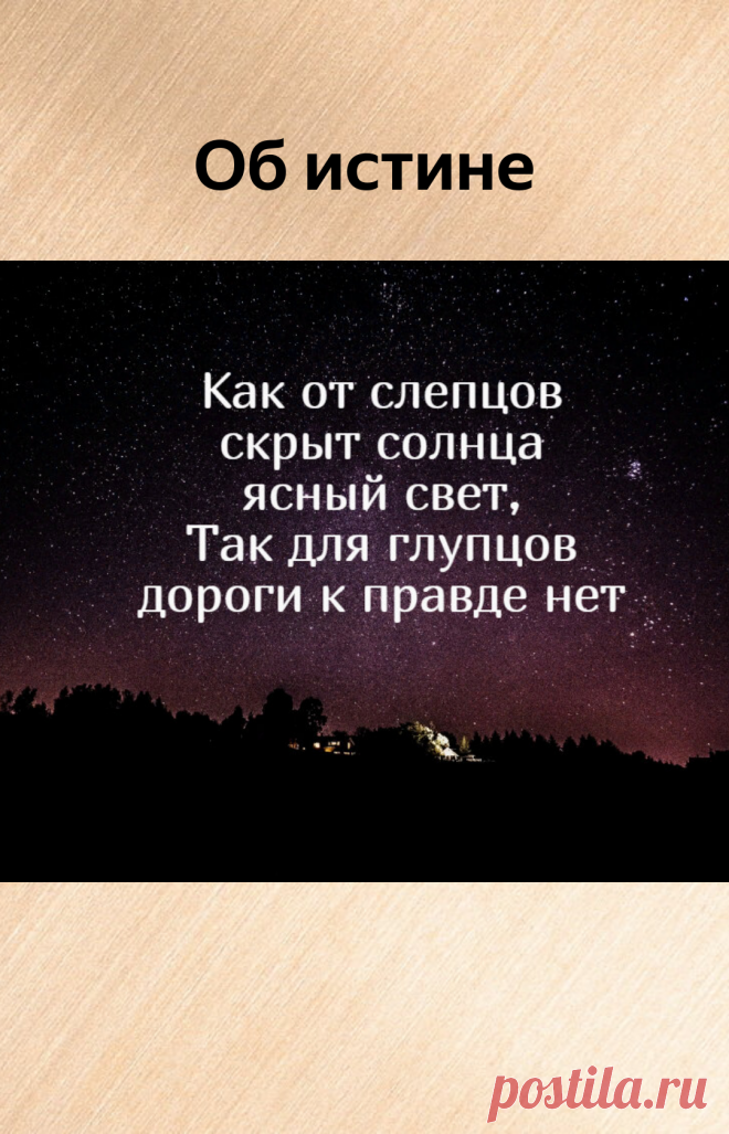 3 мудрых изречения Авиценны, от которых мурашки бегут по коже | Мадам Хельга | Яндекс Дзен