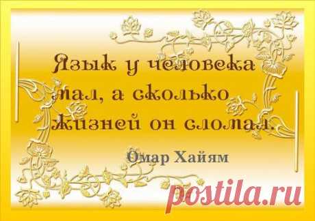 Лучшие цитаты!