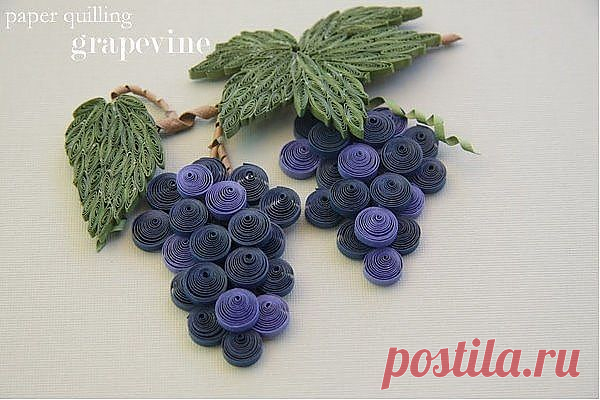 (99) Квиллинг. Гроздь винограда