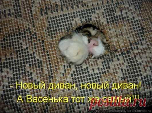 Ну, мур-ррр.