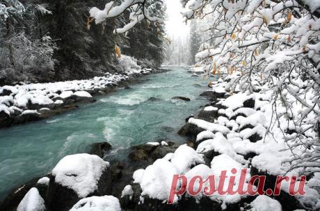 Сказочная русская зима на фото, в которую нельзя не влюбиться! / Туристический спутник