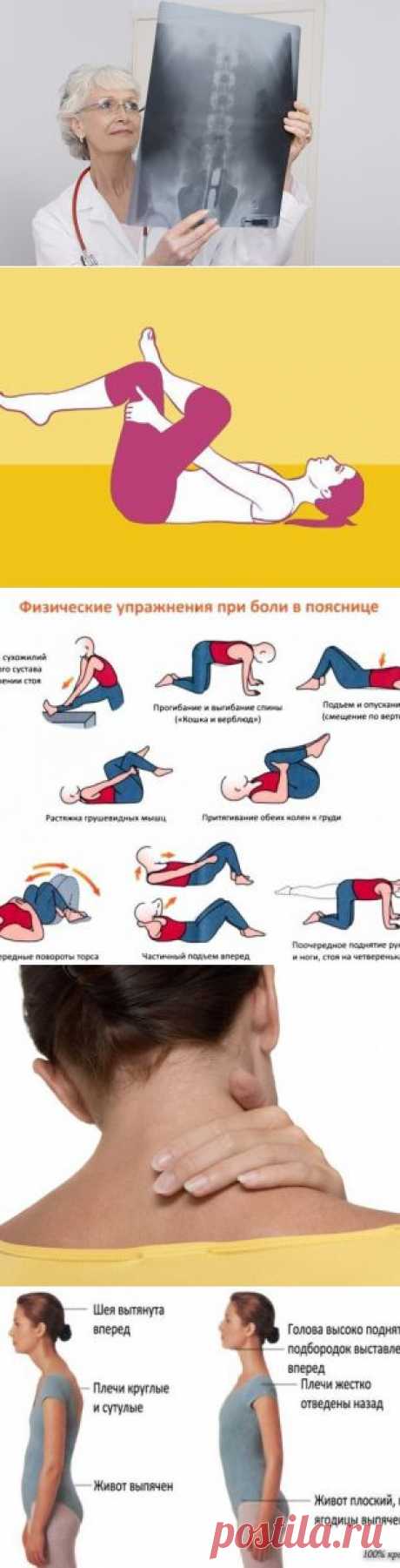 7 упражнений для здорового позвоночника - МирТесен