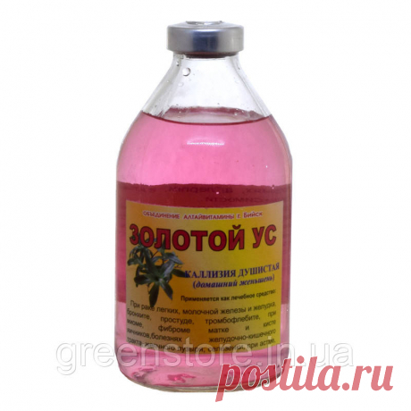 Настойка из золотого уса на водке применение при каких заболеваниях: Золотой ус настойка применение, золотой ус лечебные свойства и противопоказания —  