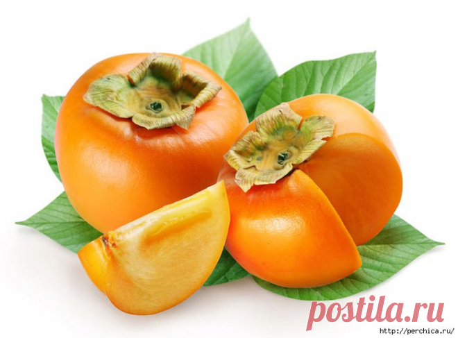 Как вырастить хурму из косточки и в открытом грунте