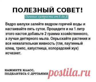 ОЧЕНЬ РЕДКО ВСТРЕТИШЬ ТАКИЕ СОВЕТЫ