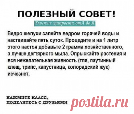 ОЧЕНЬ РЕДКО ВСТРЕТИШЬ ТАКИЕ СОВЕТЫ