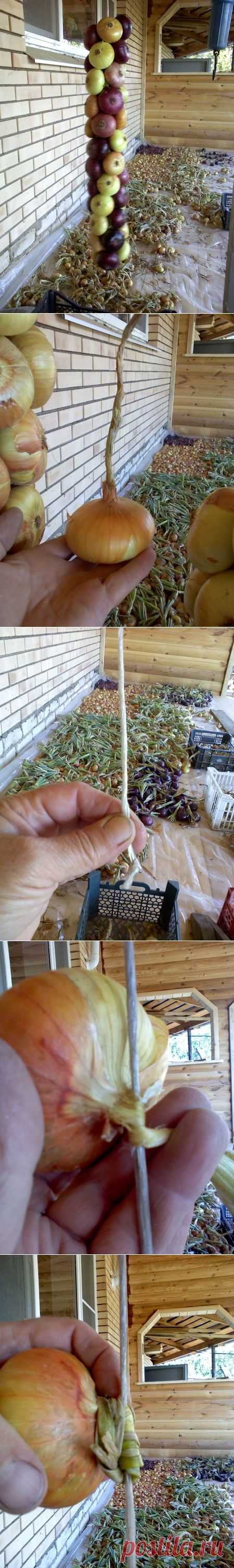 МК "ПЛЕТЕМ КОСУ ИЗ ЛУКА" | Самоцветик