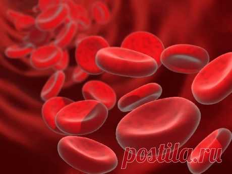 Эти продукты помогут быстро повысить гемоглобин - Медицина 2.0