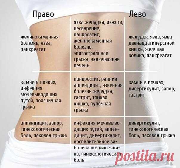 Карта боли живота
Карта боли живота.
Рассмотрите картинку, возможно найдёте какая проблема может причинять вам дискомфорт.