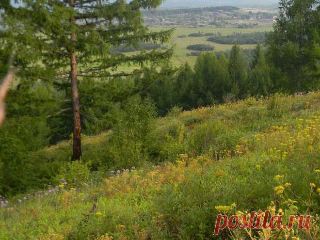 ФОТОМАСТЕРСКАЯ ПРИРОДЫ
Елена Рыльская(Шапрынская)