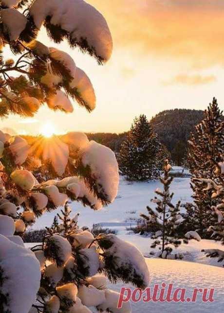 (1) Facebook