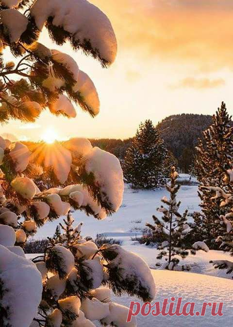 (1) Facebook