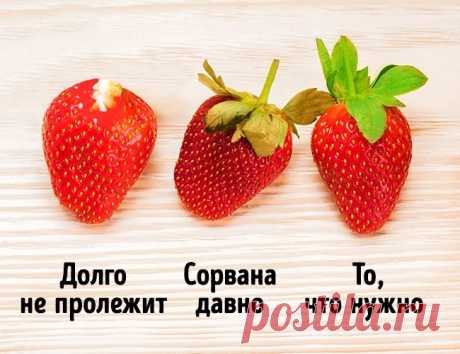 Как выбрать клубнику: 5 секретов правильного выбора - Типичный Кулинар
