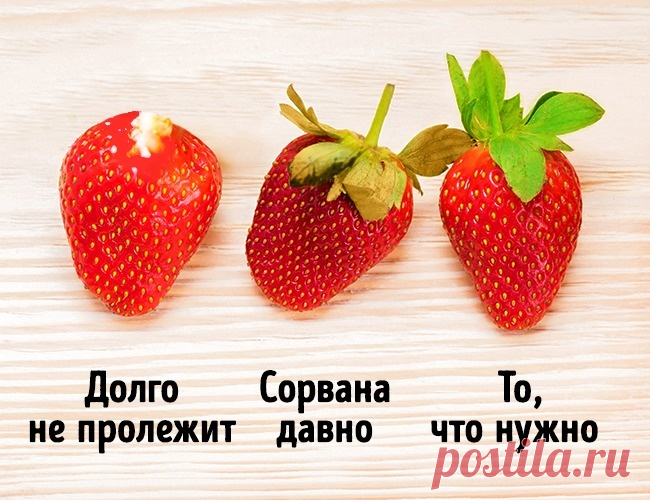 Как выбрать клубнику: 5 секретов правильного выбора - Типичный Кулинар