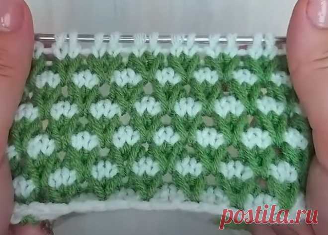 Узор для джемпера и кардигана.