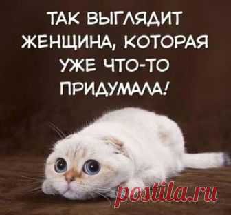 Zoo Russia - Google+