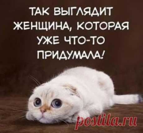 Zoo Russia - Google+
