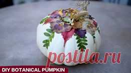 Garden Answer - DIY Botanical Pumpkins! 🌿🎃🍂