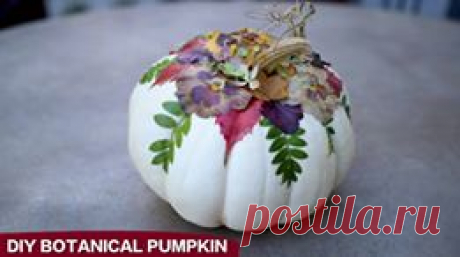 Garden Answer - DIY Botanical Pumpkins! 🌿🎃🍂