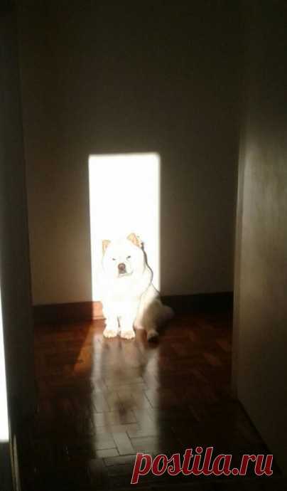 Любители солнечных ванн