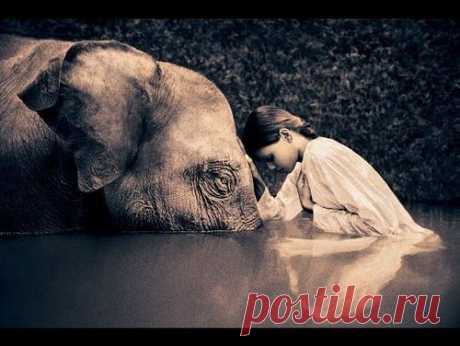 38b97d5c6a1fec2b74fdf7962c85d77a_l.jpg (500×376)