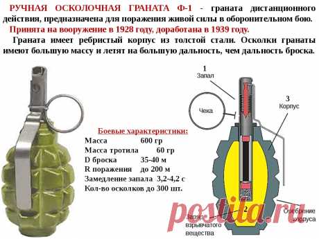Мифы о гранате
