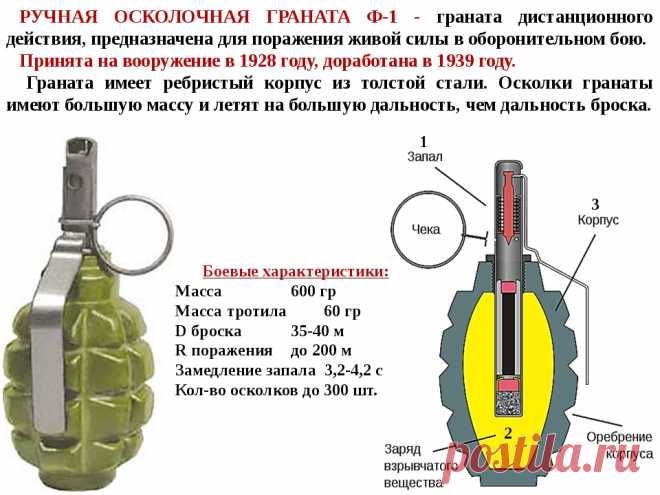 Мифы о гранате