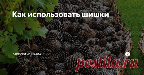 Как использовать шишки Зашла в намедни Пятерочку, а там шишки висят. Крашенные , сто рублей кучка.
Неужели кто-то покупает подобную ерунду к Новому году, когда пойди в лес, да набери шишек и покрась?
Кстати, идея для мини-бизнеса для тех ,кто живет недалеко от леса. Собираете шишки осенью, сушите, красите и продаете в качестве украшения к Новому году.
Делать украшения из шишек легко, занятно даже детям будет. Покрасить