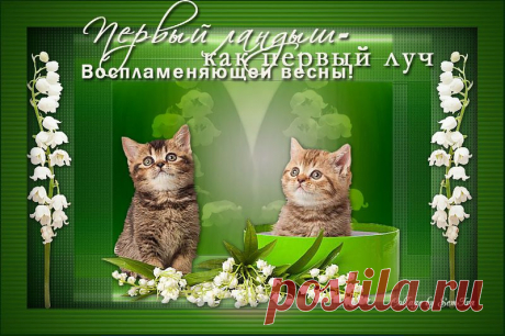 Ландыши(клипарт пнг).