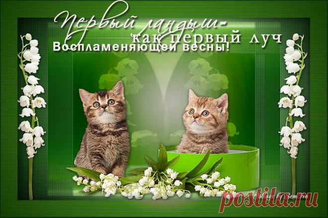 Ландыши(клипарт пнг).