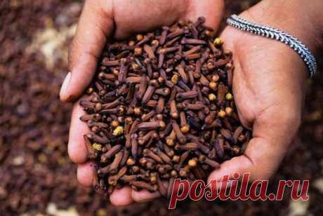 2 варианта русской тройчатки доктора Ивченко: убивают более 100 видов паразитов и грибков
В результате многочисленных исследований, известный доктор Хильда Кларк пришла к выводу, что все хронические болезни человека возникают из - за двух причин: это паразиты и экотоксины.
О каком здоровье может идти речь, если в нашем организме спокойно уживаются аскариды, власоглавы, дизентерийные амебы, двуустки кошачьи и прочая гадость.
А кожа, это первый орган человека, который показы...