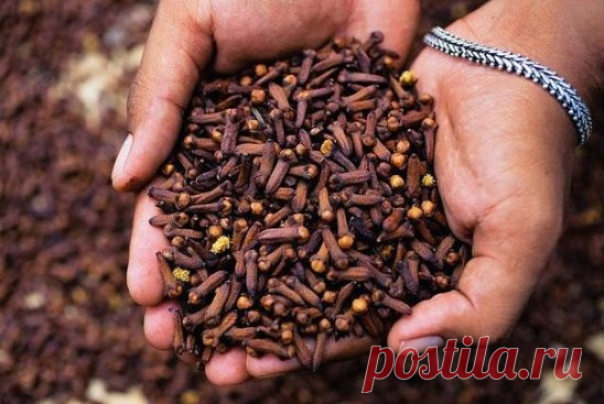 2 варианта русской тройчатки доктора Ивченко: убивают более 100 видов паразитов и грибков
В результате многочисленных исследований, известный доктор Хильда Кларк пришла к выводу, что все хронические болезни человека возникают из - за двух причин: это паразиты и экотоксины.
О каком здоровье может идти речь, если в нашем организме спокойно уживаются аскариды, власоглавы, дизентерийные амебы, двуустки кошачьи и прочая гадость.
А кожа, это первый орган человека, который показы...