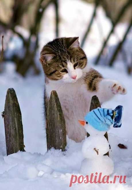 С Добрым утром, друзья! Светлого дня, хорошего настроения! Будьте здоровы!!!💖☀🎄❄😍