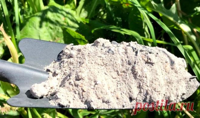 Древесная зола - 13 советов по применению в хозяйстве &raquo; Женский Мир