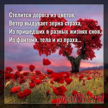 Стелится дорога из цветов, ветер выдувает зерна страха…
фото с просторов интернета фото с просторов интернета Стелится дорога из цветов, Ветер выдувает зерна страха, Из пришедших в разных жизнях снов, Из фантома, тела и из праха. Ты узнаешь, где осталась боль, Ведь попал в надёжные здесь руки, Где играл, какую свою роль, Умер в счастье или от разлуки? Что закрыто для тебя теперь? […]
Читай дальше на сайте. Жми подробнее ➡