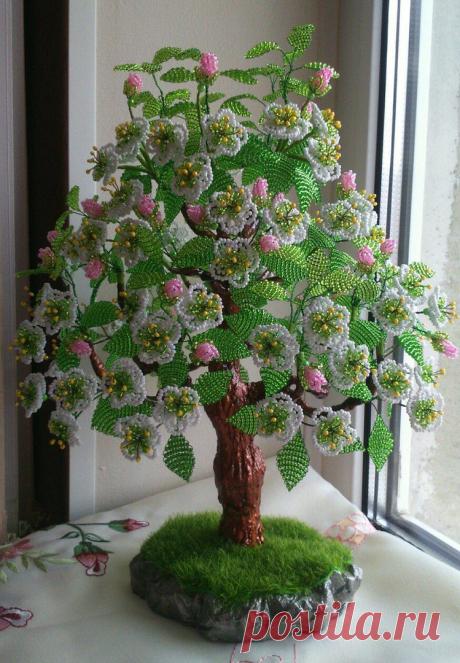 Одноклассники