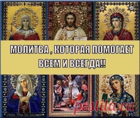 (82) Одноклассники