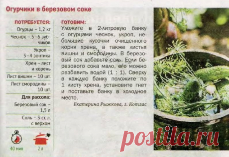 Огурчики в березовом соке