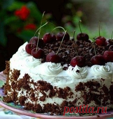 Лучшие торты без выпечки

1. Шоколадно-банановый торт

Ингредиенты (форма 20 см):
для основы:
-Печенье - 100 (или 200) гр
-Масло сливочное - 50 (или 100) гр
для начинки:
-Бананы - 2-3 шт
-Сметана или натуральный йогурт - 400 мл
-Молоко - 100 мл
-Сахарный песок - 6 ст.л.
-Какао натуральный - 3 ст.л. или темный шоколад - 80-100 гр
-Желатин - 10 гр

Приготовление:
Желатин залить 100 мл воды и оставить для набухания на время указанное на упаковке.

Печенье поломать и положить ...