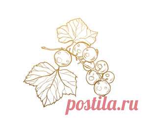 Блог Алены Ясневой. Карта сайта